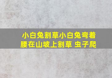 小白兔割草小白兔弯着腰在山坡上割草 虫子爬